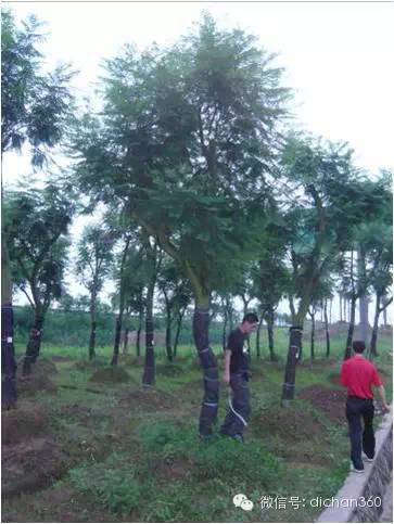 揭秘華潤(rùn)精品住宅的打造全過程